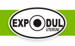 Expoduls logga - Vi hjaelper dig byta bilglas & laga stenskott